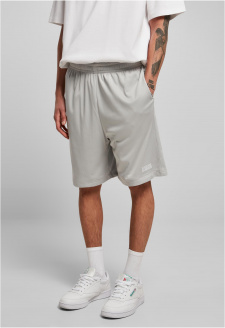 Basic Mesh Shorts lightasphalt