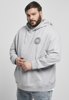 Globetrotter Hoody grey