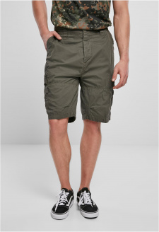 Ty Shorts olive